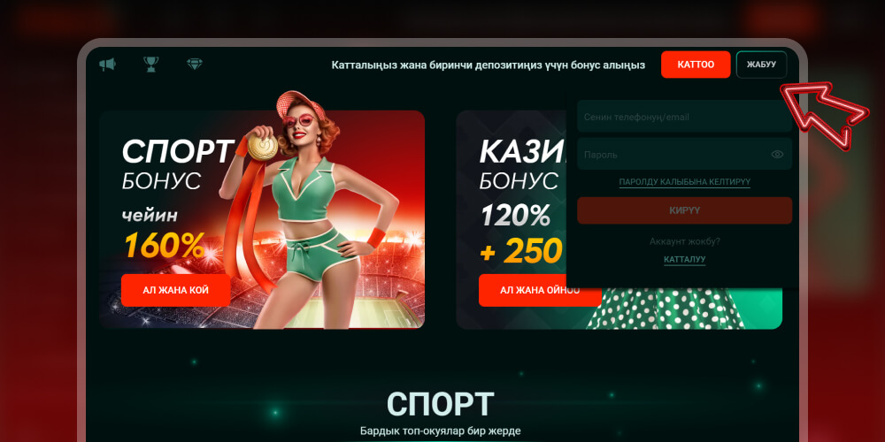 Каттоо маалыматтарыңызды киргизүү