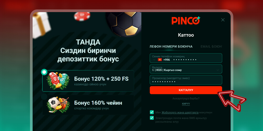 Сиздин чоо-жайы ырасталууда